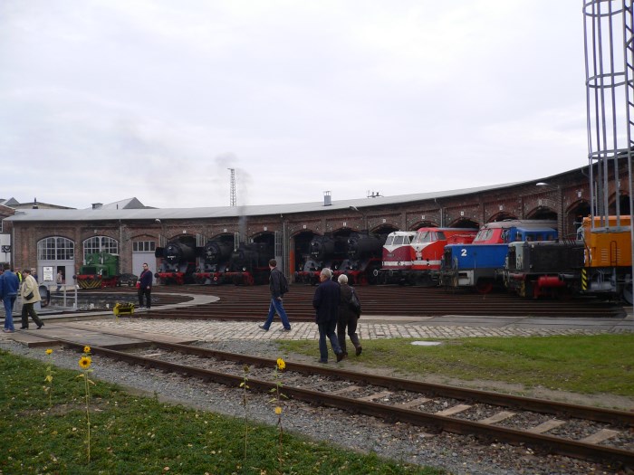 Large Image