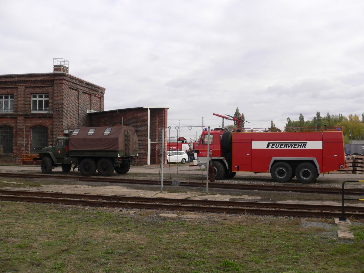 Large Image