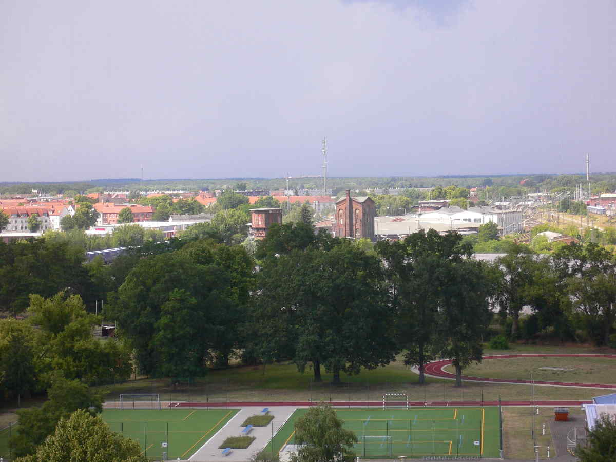 Large Image
